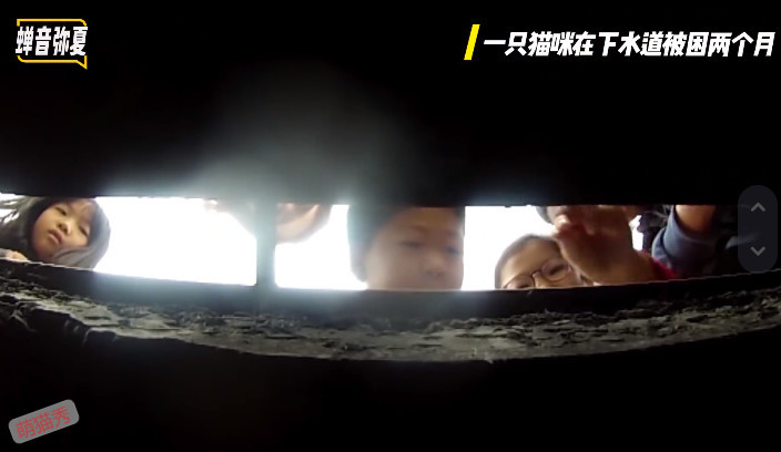 猫咪掉进下水道两个月，小哥哥喂养两个月救援成功