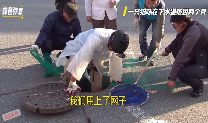 猫咪掉进下水道两个月，小哥哥喂养两个月救援成功
